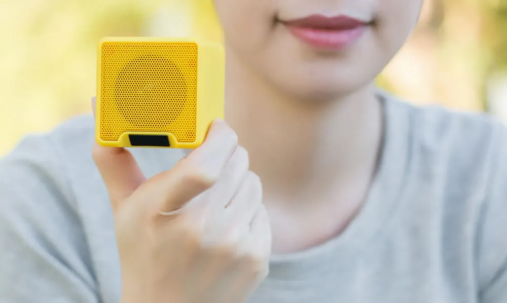 travel speakers